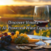 Discover Vinora – Your AI-Powered Wine Companion