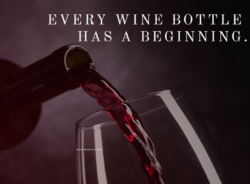Every #Winebottle has a beginning.