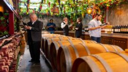 Wine Tour in Porto