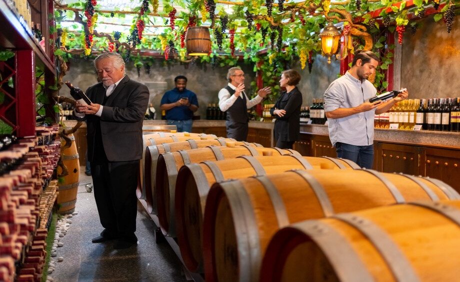 Wine Tour in Porto